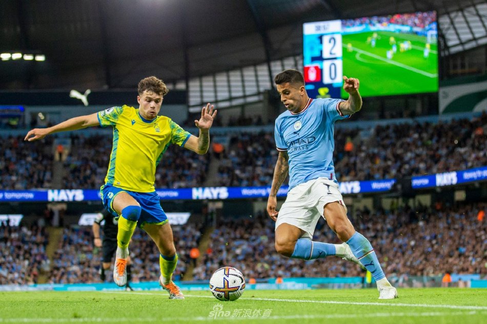 浙江队的得 浙江队的得